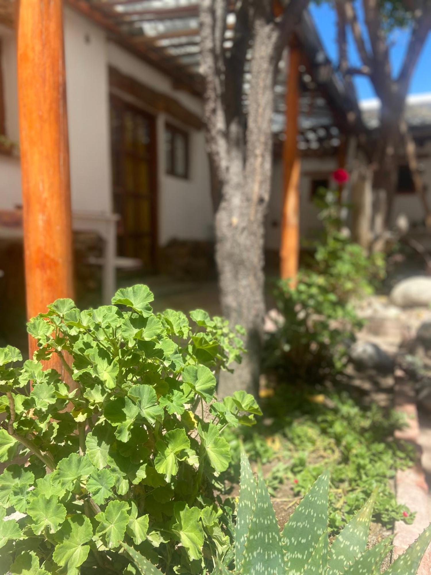 Hostal Tierra Andina Cafayate Extérieur photo